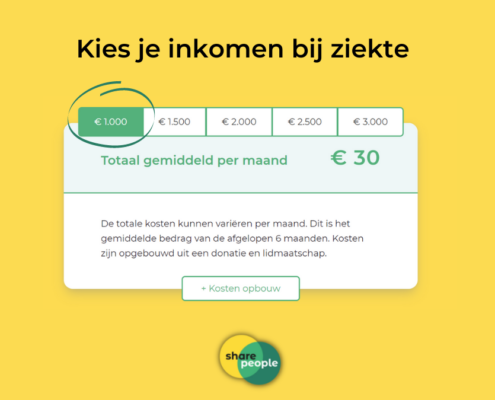 inkomensniveay