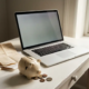 Gebarsten spaarpot op zijn zij met uitgestrooide munten naast laptop en facturen op wit bureau, symbool van financiële onzekerheid als freelancer.