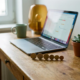 Freelancer thuiswerkplek met afnemende stapel euromunten, open laptop en vetplant in zacht natuurlijk licht.