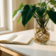 Groene plant met zichtbare wortels in glazen vaas op minimalistisch bureau, zacht ochtendlicht en opengeslagen notitieboekje op de achtergrond.